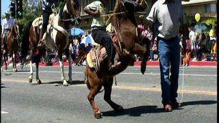 4 OF JULY WATSONVILLE CA mpg [upl. by Laurentia]