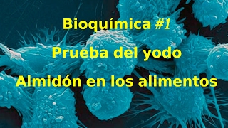 Bioquímica 1 Prueba del yodo Almidón en los alimentos [upl. by Regan]