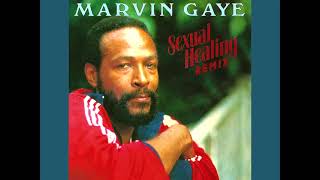 Marvin Gaye  Sexual Healing Remix [upl. by Aynna721]