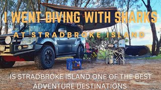 STRADBROKE ISLAND DIVING WITH SHARKS CAMPING AND 4WDING  FLINDERS BEACH MAIN BEACH MANTA BOOMIE [upl. by Fredek]