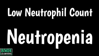 Neutropenia  Low Neutrophil Count In Blood Test  Causes amp Symptoms Of High amp Low Neutrophil [upl. by Eenehs55]