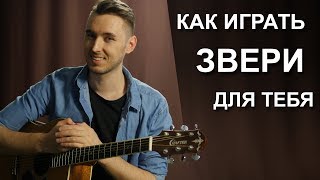 Как играть ЗВЕРИ  ДЛЯ ТЕБЯ на гитаре  Подробный разбор урок [upl. by Tegirb671]