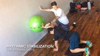 Quadruped Rhythmic Stabilization [upl. by Brelje]