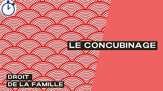 Le Concubinage  Droit de la Famille [upl. by Otreblig]