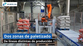 ¿Cómo paletizar dos líneas producción distintas de sacos  Enesval [upl. by Januisz319]