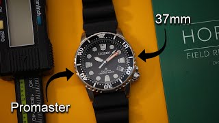 37mm CITIZEN Promaster Dive EcoDrive Pro Diver Best Dive Watch for Smaller Wrists Solar EO202008E [upl. by Marx824]