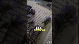 main suneya song  lyrics song  shorts ytshorts youtube youtubeshorts viralshorts [upl. by Clim775]