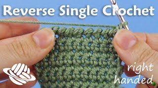 Reverse Single Crochet righthanded version [upl. by Nitsruk67]