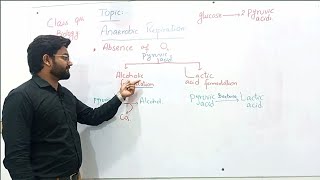 Anaerobic respirationclass 9th [upl. by Chrissie]