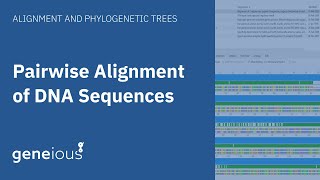 How to do Pairwise Alignment of DNA Sequences in Geneious Prime [upl. by Verlee956]