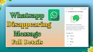 Whatsapp Disappearing Messages Full Details [upl. by Mcclenon]