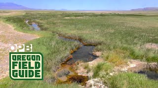 Oregons Steens Mountain and Alvord Desert [upl. by Eidassac]