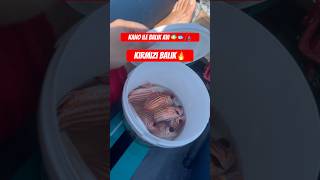 Decathlon 3 Kişilik Kano İle Balık Avı 🎣Kırmızı Balıkdecathlon kano balıkavı finike fishing [upl. by Sabelle836]