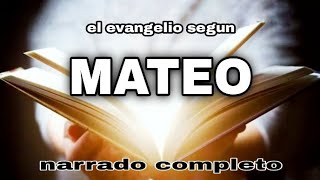 el evangelio según MATEO AUDIOLIBRO narrado completo [upl. by Navi]