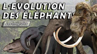 Lévolution des éléphants  Intégrale  Évolution  Paléontologie  Simplex Paléo [upl. by Amek]