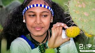 Tigrigna classical  ትግርኛ ክላሲካል ብስእልታት ትግራይ [upl. by Lucho]