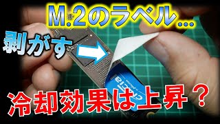 m 2 SSD温度検証！表面のラベルを剥がせば冷却UP～通信速度高速化の進むm2を考察～ [upl. by Korrie173]