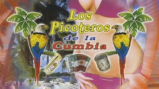 Los Picoteros de la Cumbia Alberto Pedraza  El Pescador [upl. by Eloccin]