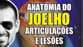 Dor no Joelho Anatomia Articulações e Lesões do LCA e Meniscos  Anatomia Humana  VíideoAula 101 [upl. by Anoyk]