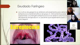 Practica 6 microbiologia Exudado Faringeo [upl. by Ykroc627]