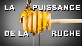 La puissance de la ruche  tout savoir sur le miel la propolis la gelée royale et le pollen [upl. by German394]