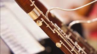 Johann David Heinichen  Sonata for Oboe Bassoon and Basso Continuo in G Minor [upl. by Croom]