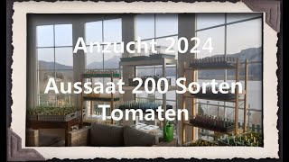 Anzucht 2024  Aussaat 200 Sorten Tomaten [upl. by Limann268]