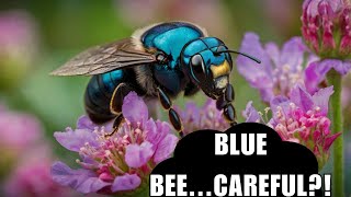 The Secret Lives of Bees Rare Facts You Wont Believe Can this be real 2024 [upl. by Odnalro]