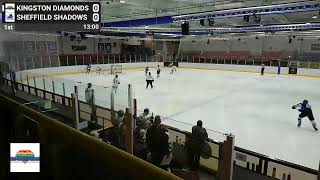 Kingston Diamonds Div 2 vs Sheffield Shadows [upl. by Rebecka]