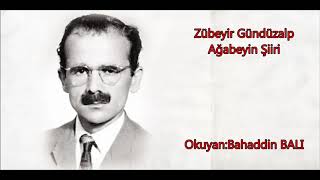 Zübeyir GündüzalpSana gülmek yasaktır dostum Bahaddin Balı [upl. by Esilanna834]