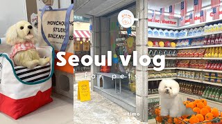 【韓国旅行】ソウルで人気の可愛すぎるペット用品店巡り🐶爆買いプレゼント企画🎁と購入品紹介🛍️ [upl. by Asreht]