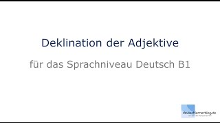 Adjektivdeklination  Deutsch lernen B1 [upl. by Fachanan]