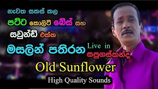 Mersalin Pathirana with Old Sunflowers  Live in Sapugaskanda  Re Created Quality Sounds [upl. by Galasyn]