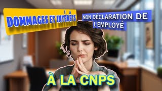 QUELS SONT LES DOMMAGES INTÉRÊTS POUR NON DÉCLARATION DE SON TRAVAILLEUR À LA CNPS [upl. by Aon]