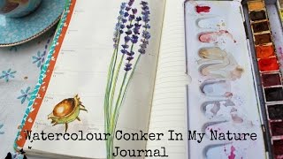 Watercolour Conker for my Journal [upl. by Kala203]