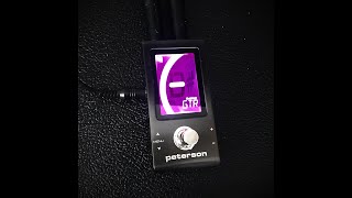 Peterson StroboStomp Mini  just how accurate and gig friendly is it [upl. by Eanar]