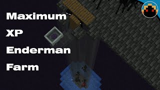 Enderman Farm for 1204  Maximum XP Rates [upl. by Dinerman977]