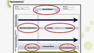 Rehabilitation ProblemSolving Form by Fysiometrics [upl. by Grissom399]