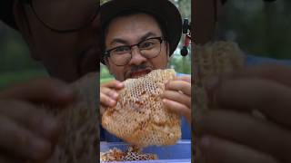 Eating Raw Honeycomb In The For3st  ASMR Mukbang Honeycomb shorts [upl. by Worl579]