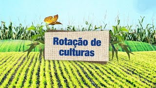 Agricultura Regenerativa e Positiva  Rotação de Culturas [upl. by Eniksre]