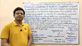 Antitubercular Drug Part03 Isoniazid  Mechanism of Action of Isoniazid  Isoniazid  Anti TB [upl. by Tadeo]