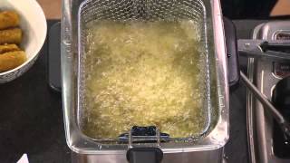 Emeril by TFal 18L Stainless Steel Deep Fryer with Oil Filtration with Mary Beth Roe [upl. by Yecaj]