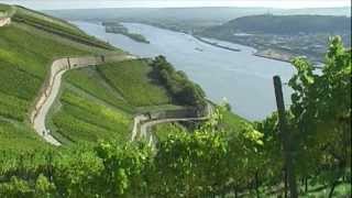 Rheingau  Deutsches Weinanbaugebiet [upl. by Sonstrom829]