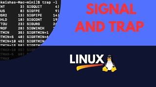 Linux Signals and Trap command bashscripting bashshell linux bash shellscripting [upl. by Karb]