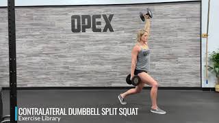 Contralateral Dumbbell Split Squat [upl. by Etessil]