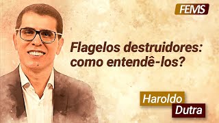 Flagelos destruidores como entendêlos com Haroldo Dutra Dias [upl. by Jeane]