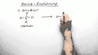 317 Amine  Einführung GK  Chemie  Organische Chemie [upl. by Adur343]