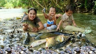 How to catch giant fish and oysters to sell at the market with your children [upl. by Ursola793]