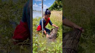 আটলে কতো মাছ😯video minivlog vlog shortvideo youtubeshorts viralvideo fishing [upl. by Inalaehon]