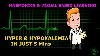 HYPERKALEMIA amp HYPOKALEMIA MADE EASY WITH MNEMONICS amp VISUALS in 5 mins [upl. by Natka291]